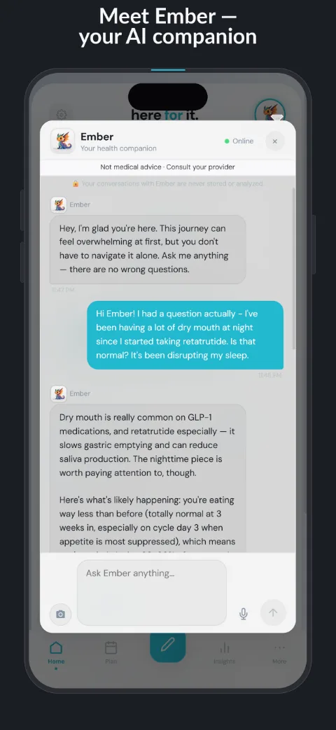 Ember AI chat inside HereForIt